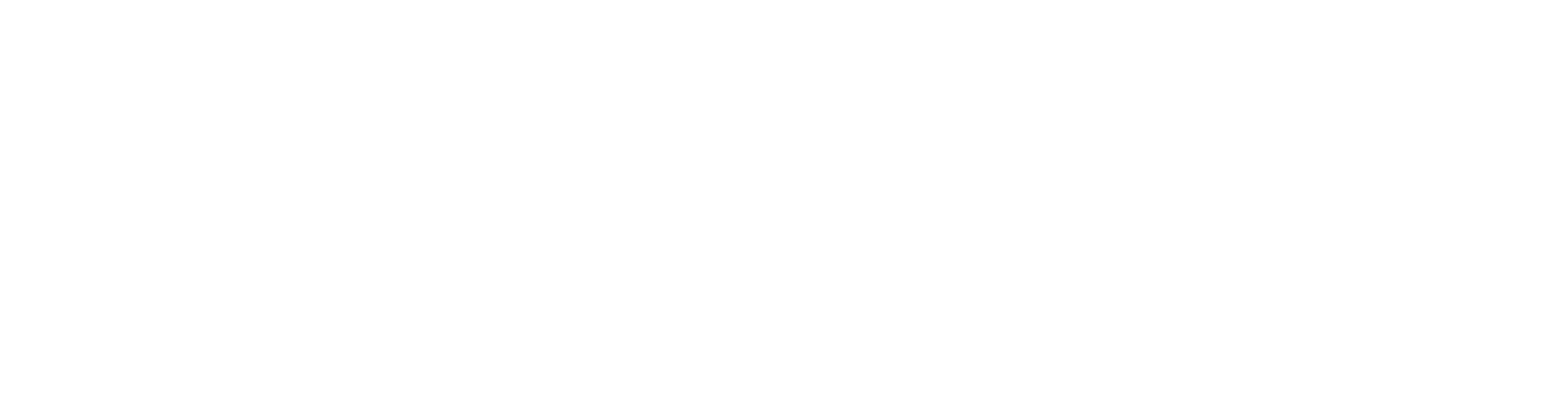 TE-travel-edge-horizontal-white-RGB-2